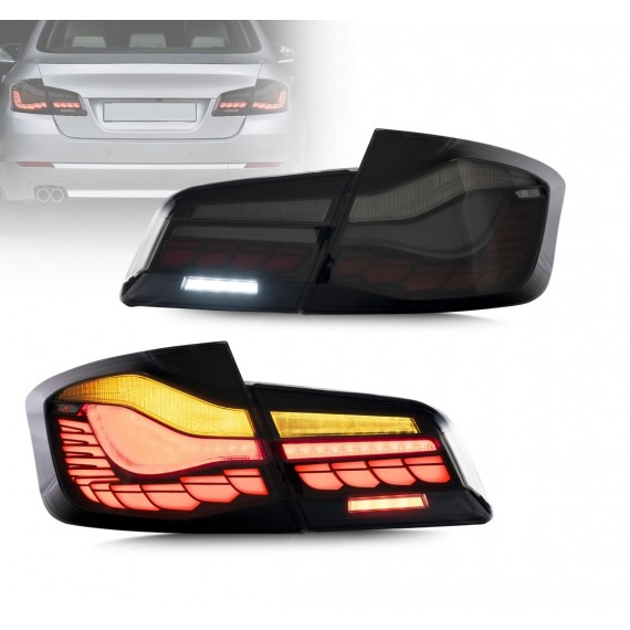 F10 DRAGON SMOKE LED STOP TAKIM 